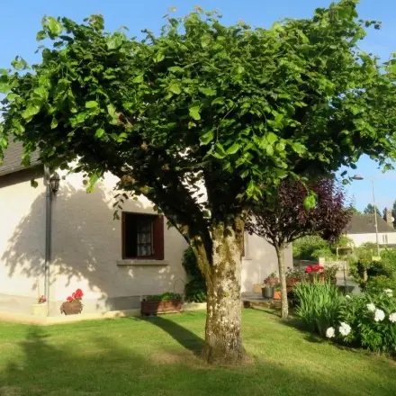 M.Baffet-Beynat_jardin
