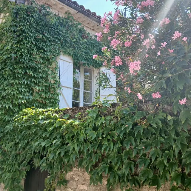 Maison Charlotte façade