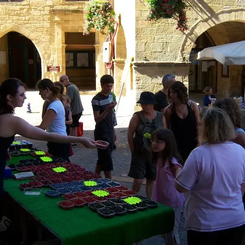 Marché des Producteurs à Gourdon