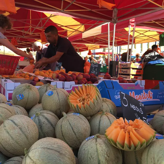 Marché de Gourdon - CM-7
