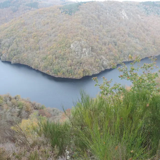 Mystique Dordogne