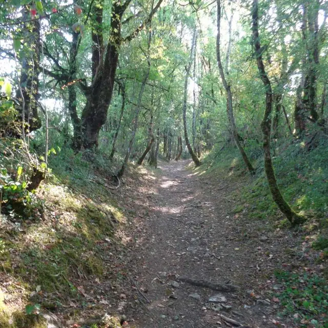 Noailhac - GRPMC 1 - VTT