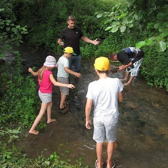 Animation-découverte des petites bêtes des rivières