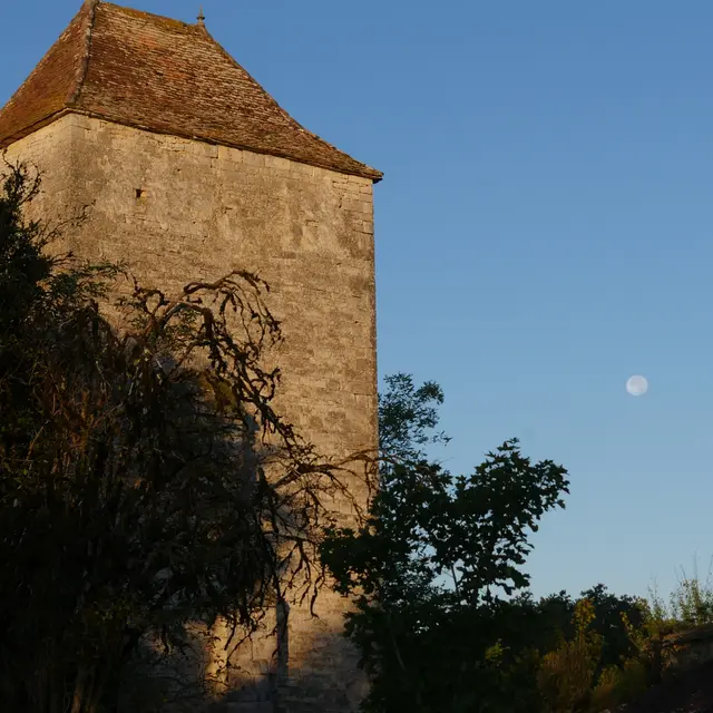 P1200018 - copie
