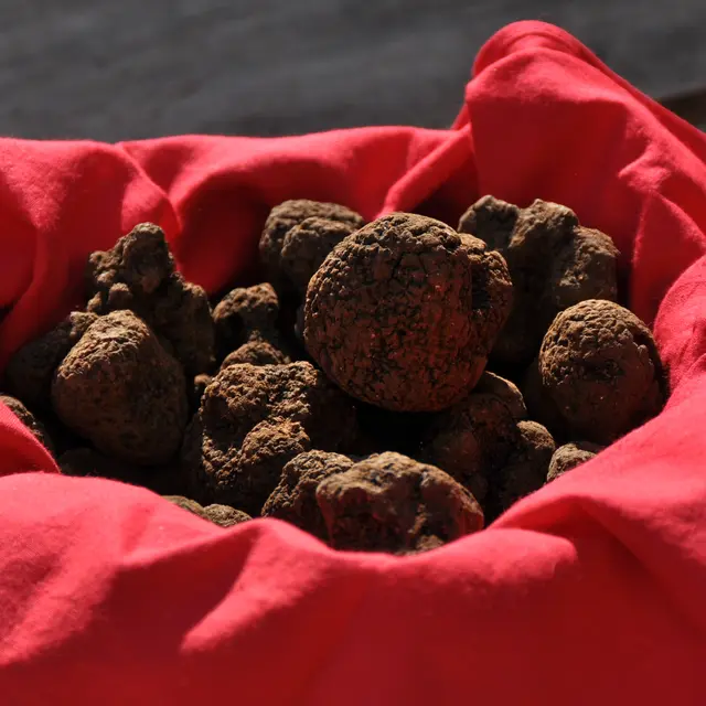 Panier de truffes