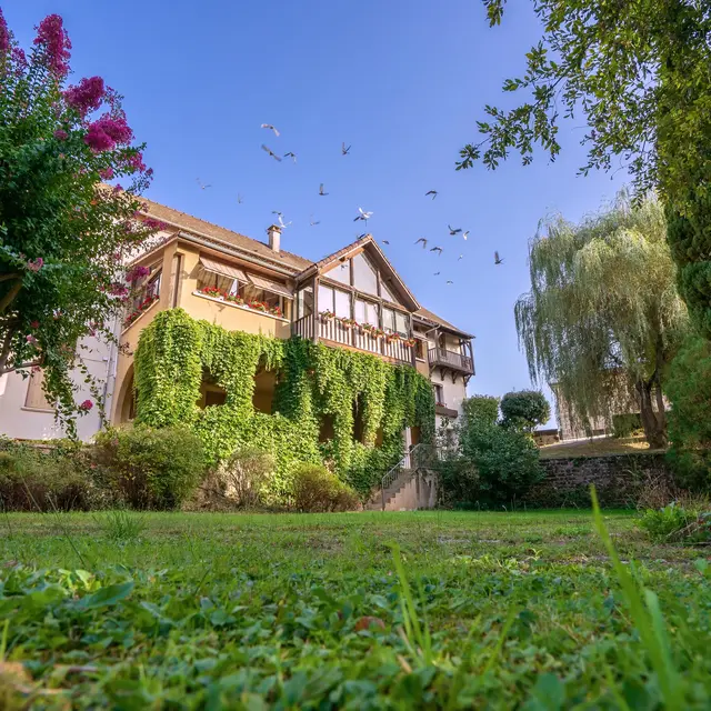 jardin