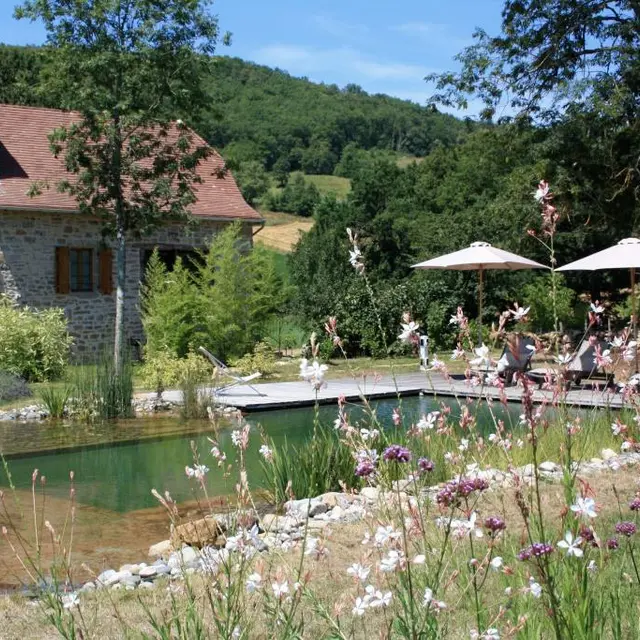 Piscine écologique commune - Gîte 