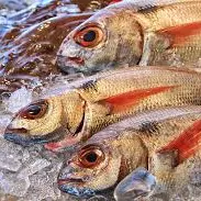 Poissonnerie