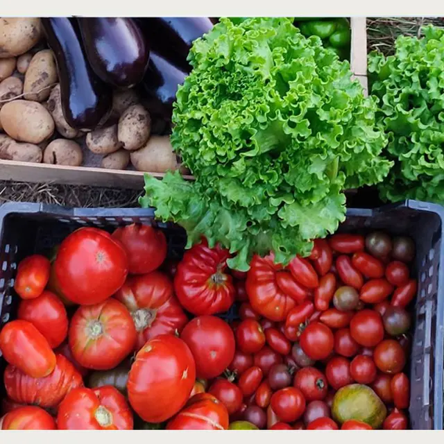 Potager