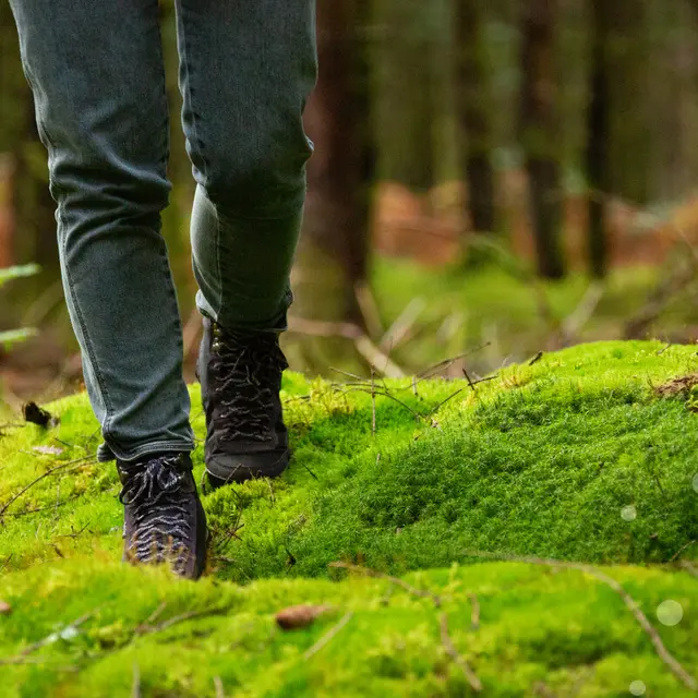 Randonnee_en_Correze-Malika_Turin_-_Vallee_de_la_Dordogne_CC-BY-NC-2101-1200px