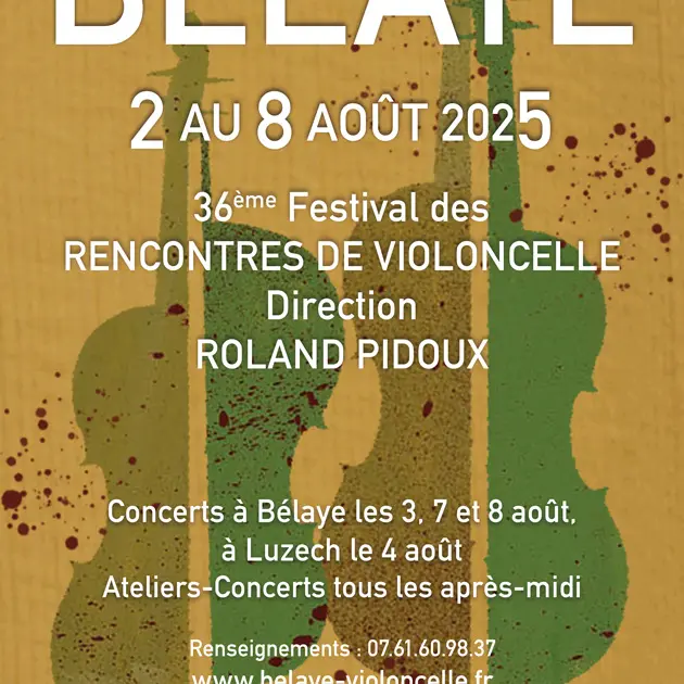 aff-violons25-30jan-aplati&vectorise copie