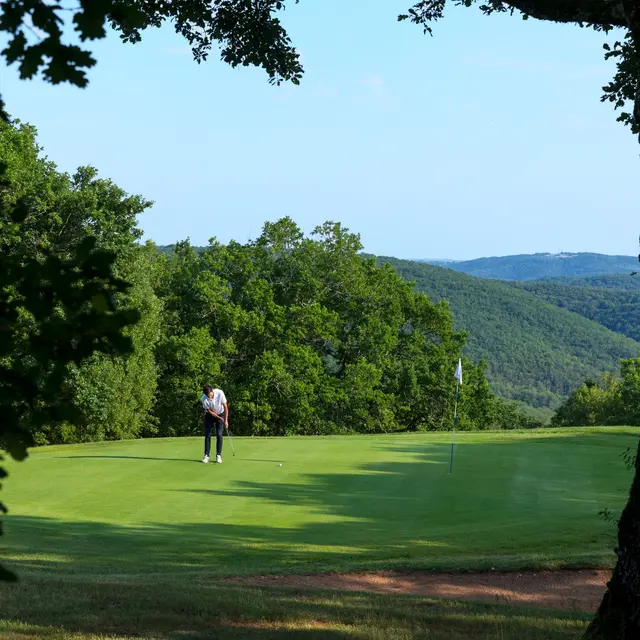 SGGC Green 17