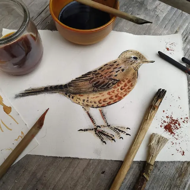STAGE - Art et nature