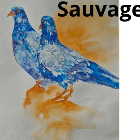 exposition Sauvage
