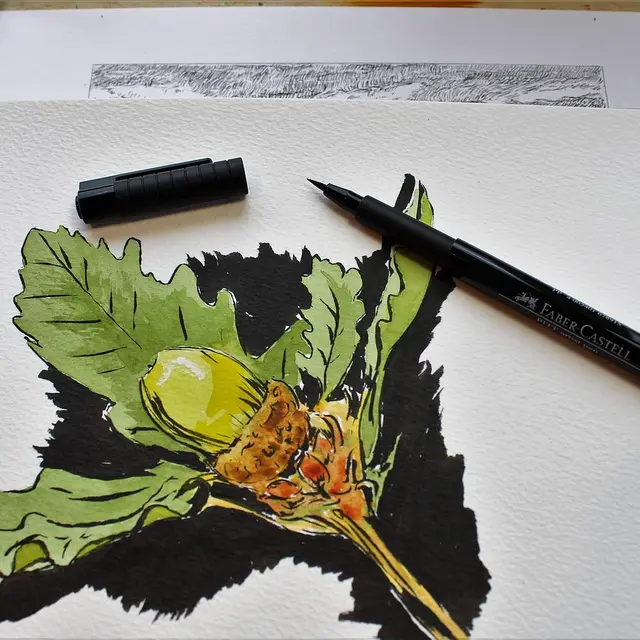 Sketchbook