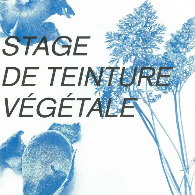 Stage teinture végétale