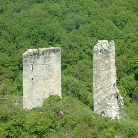 TOURS_DE_CARBONNIERES_GOULLES_2