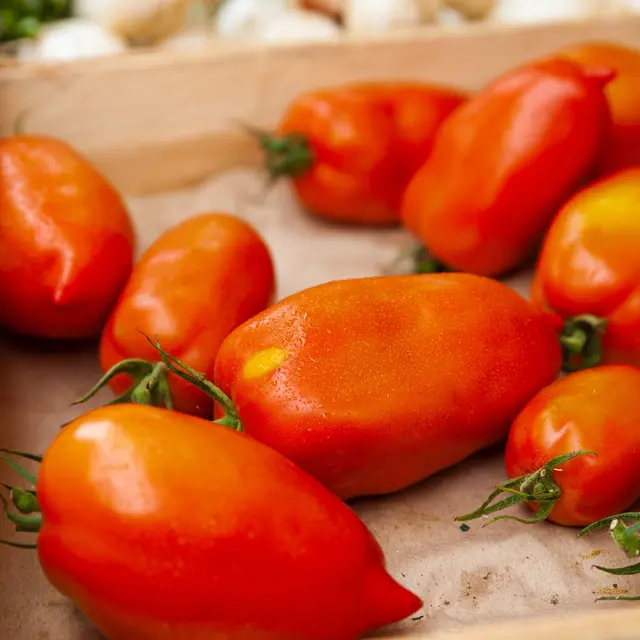 Tomates sur le Marché