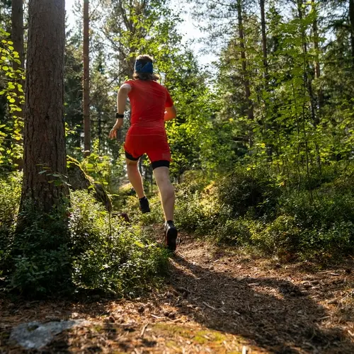 Trail