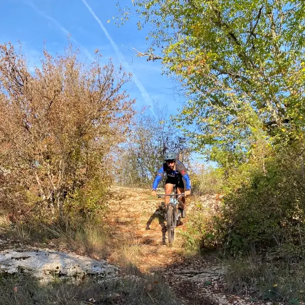 Velo