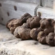 Truffes (1) @JMOREL