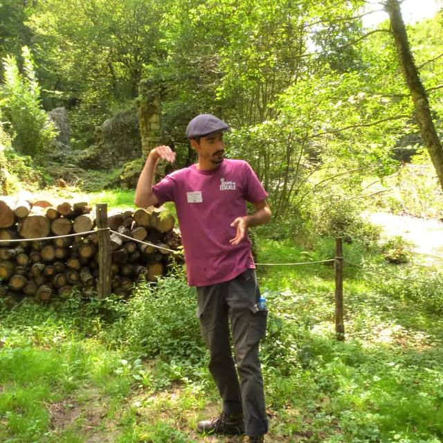 Visite guidée TDM