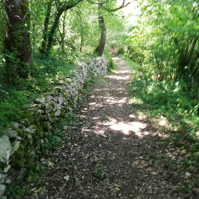 Vallon Lestang-adaunac (1)