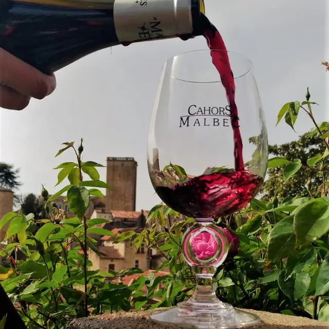 Verre Malbec