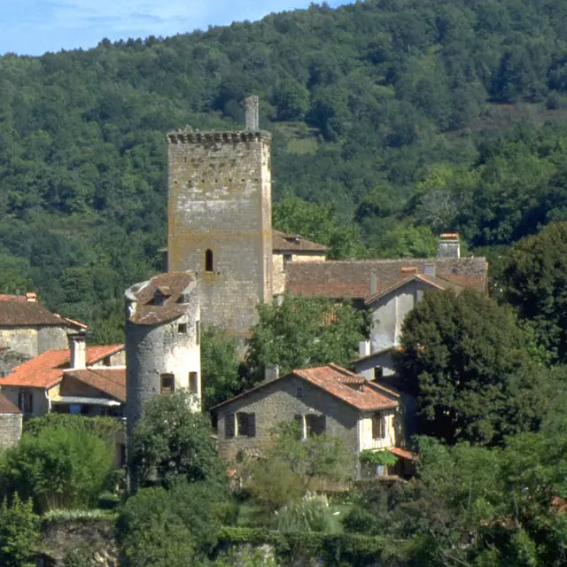 Vestiges du Fort médiéval à cardaillac