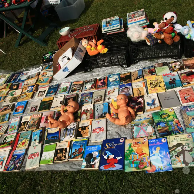 Vide grenier-photothèque OTVD