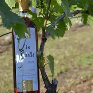 Vignes et vergers
