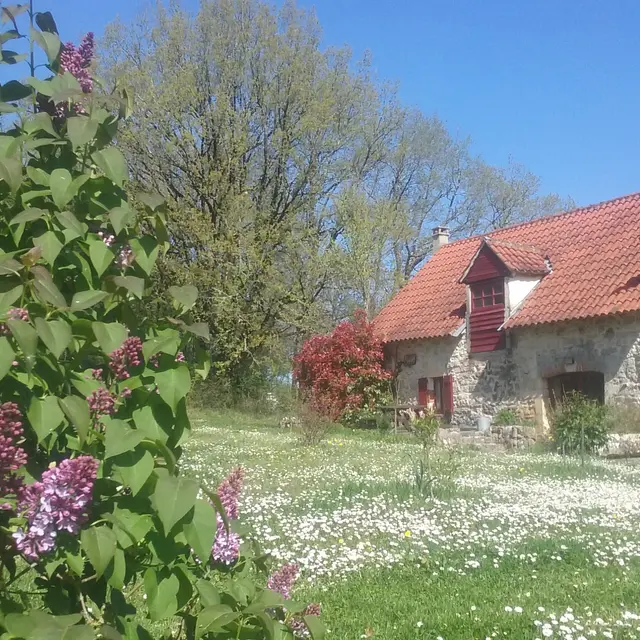 Vignoble Sud ext