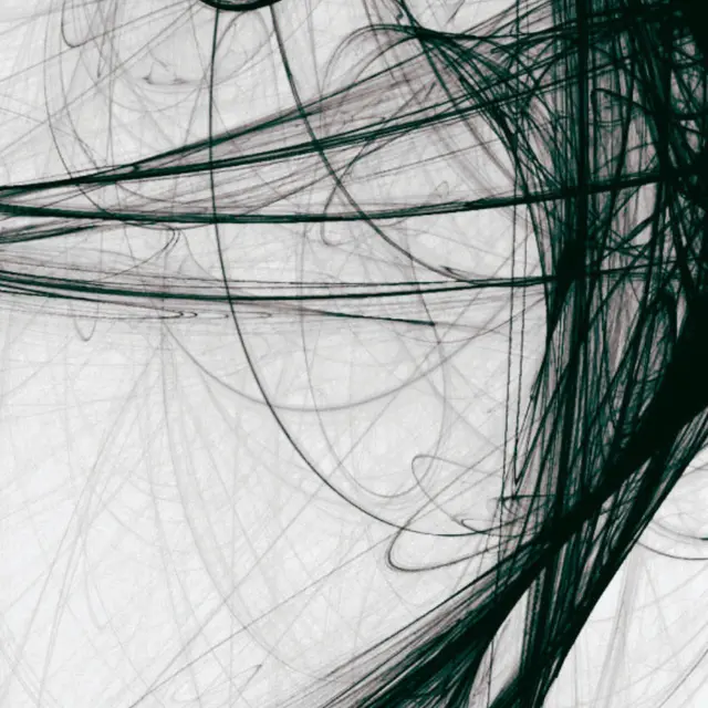 Des roses et des violettes