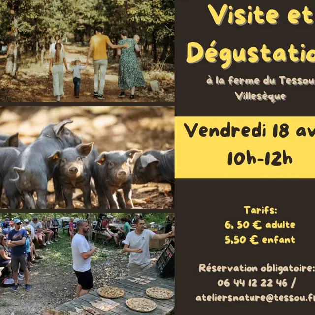 Visites et dégustation - 1