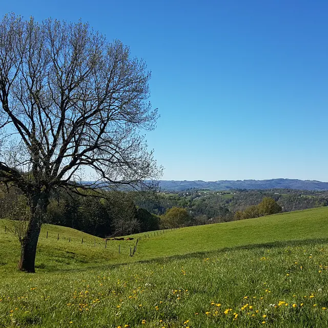 Vue le Ségala environnant