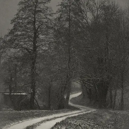 White Track