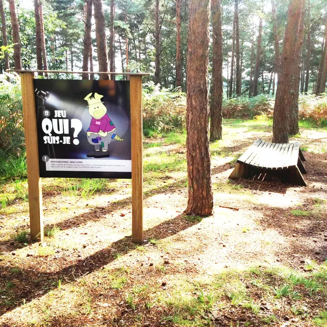 Sente aux cochons Neuville Copy