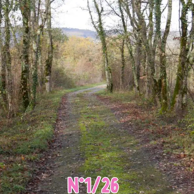 aaaaaaaaaaaaaaaaaaa7441747474747477