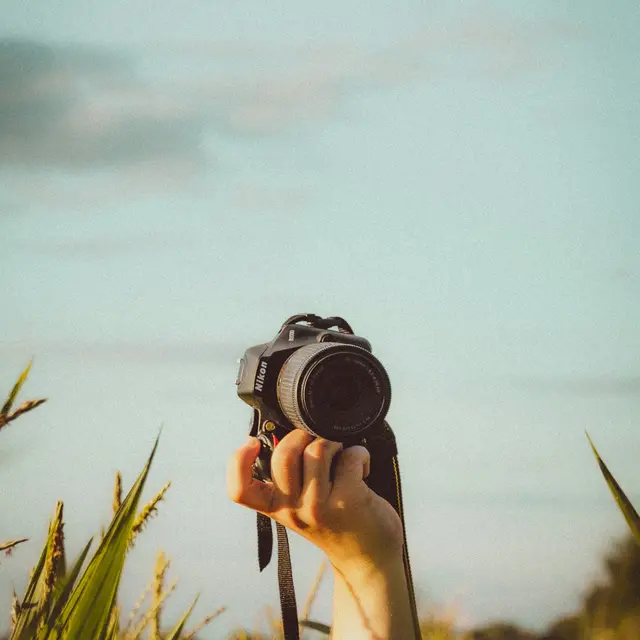 adam-hamel-MgmfPmixwE4-unsplash