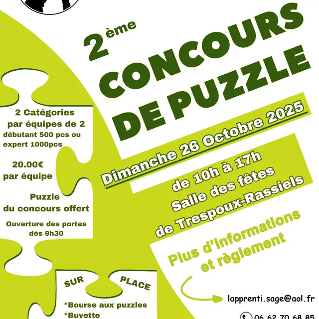 affiche 2eme concours puzzle