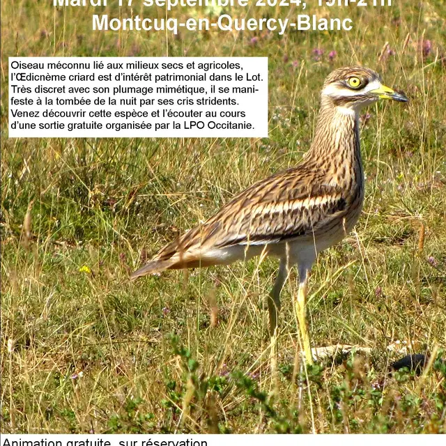 affiche_oedic_Montcuq_2024