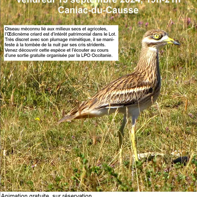 affiche_oedic_Caniac_2024