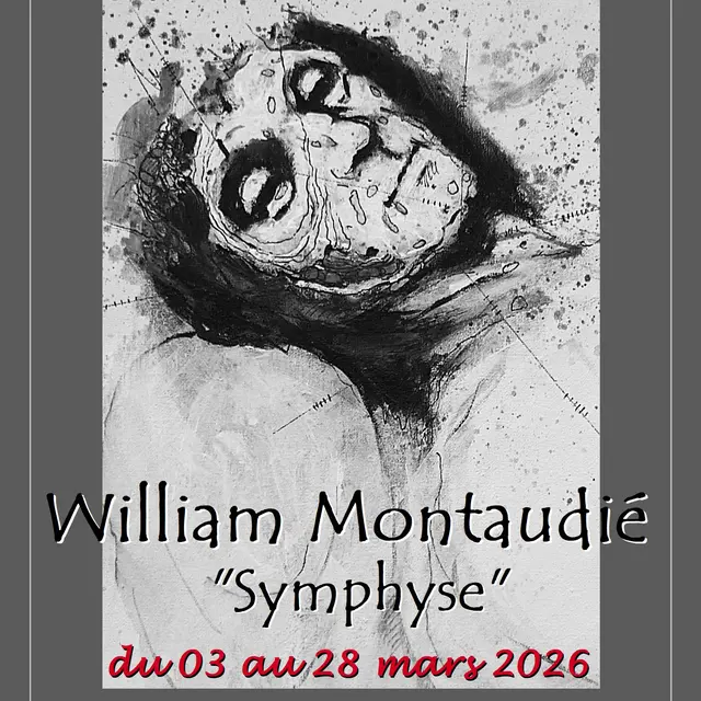 affiche expo 'Symphyse'