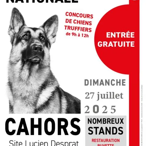 affiche expo 2025_