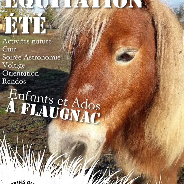 affiche-stage-equitation-2-scaled