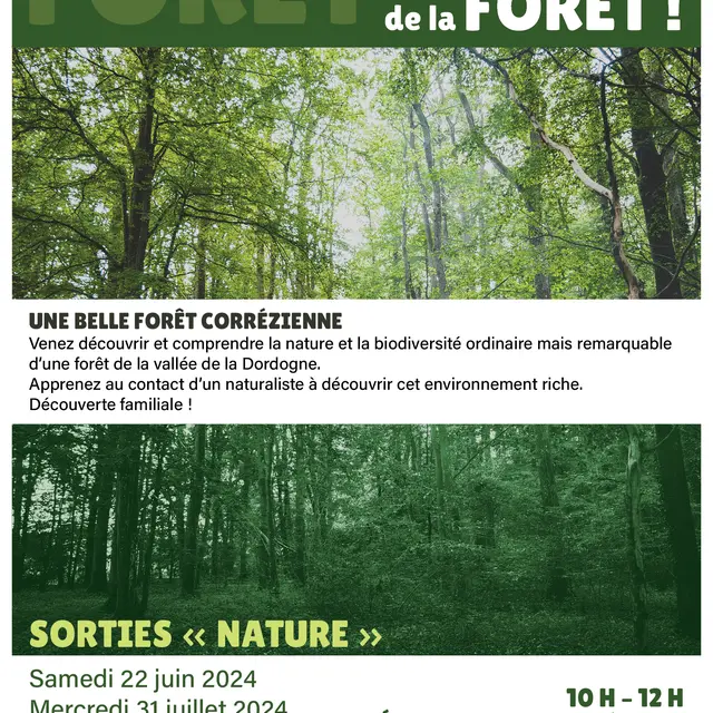 Découvrez en famille la biodiversité de la Forêt