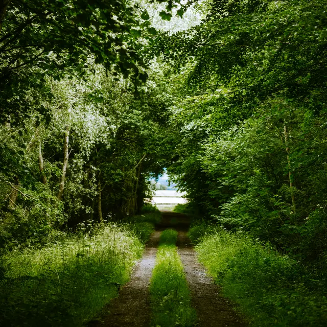 aleksandra-boguslawska-zONYLdEJ65o-unsplash