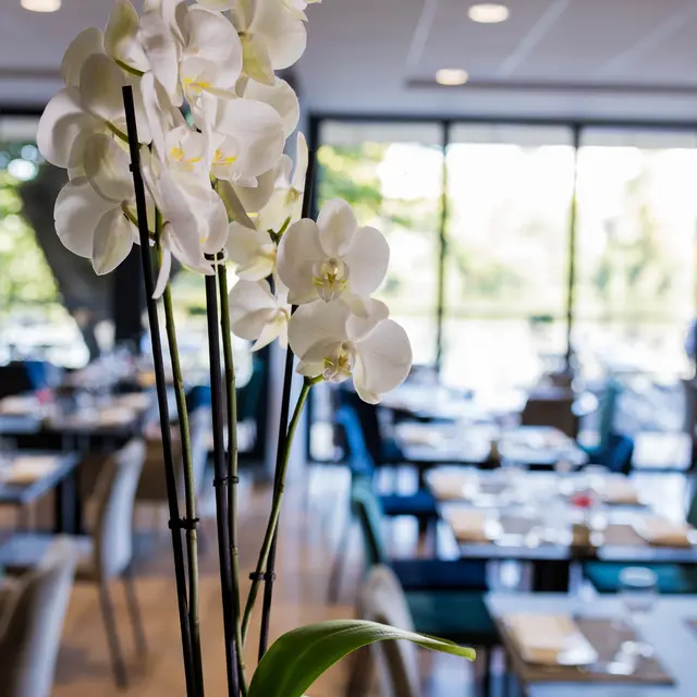 Salle de Restaurant