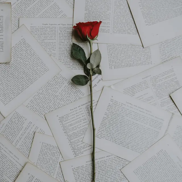 Lettres d'Amour