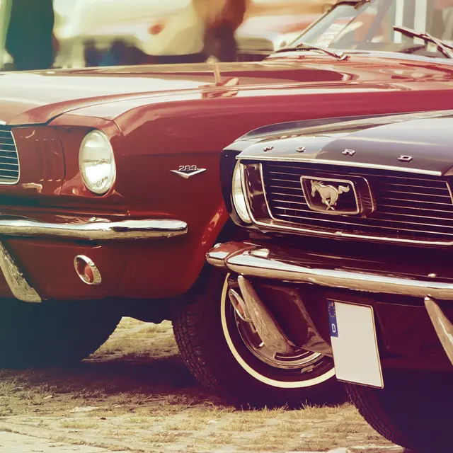 ariellefisch-automobile-2523975